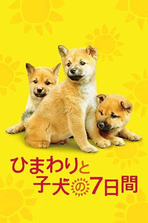 Seven Days of Himawari and Her Puppies (2012)