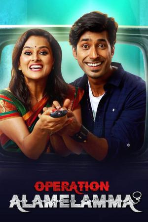 Operation Alamelamma (2017)
