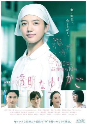 Transparent Cradle (2018)