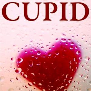 Cupid (2003)