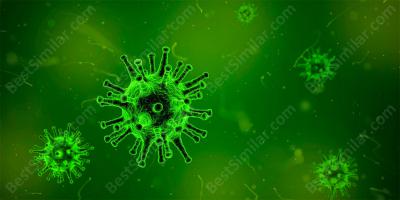 virus outbreak movies