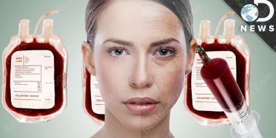 eternal youth movies