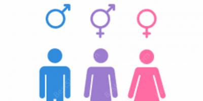 sexual identity movies