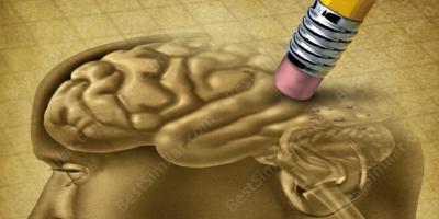 erased memory movies