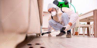 exterminator movies